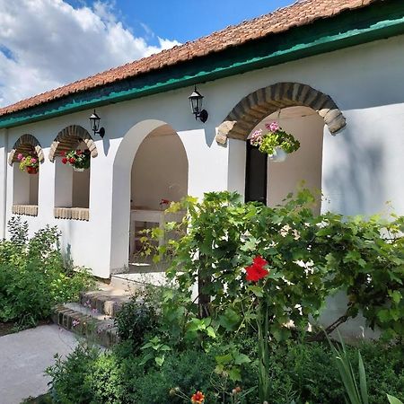 Eva House Ξενοδοχείο Pacir Εξωτερικό φωτογραφία