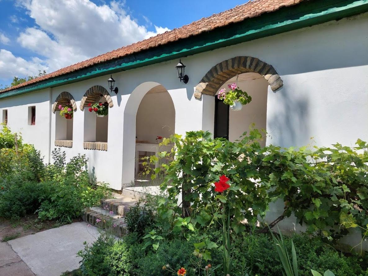 Eva House Ξενοδοχείο Pacir Εξωτερικό φωτογραφία