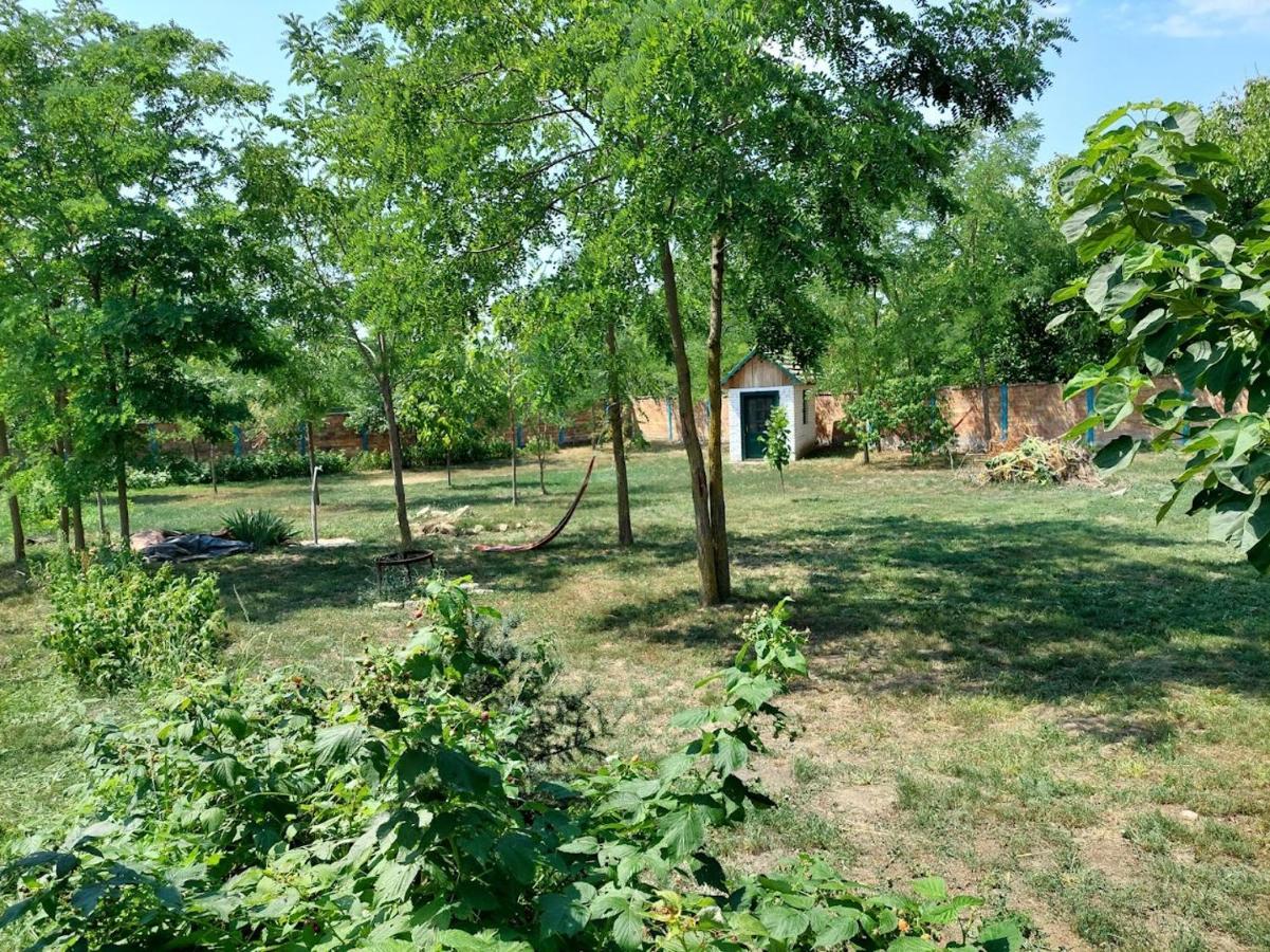 Eva House Ξενοδοχείο Pacir Εξωτερικό φωτογραφία