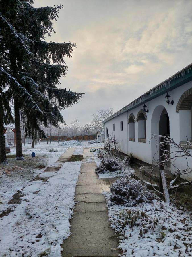 Eva House Ξενοδοχείο Pacir Εξωτερικό φωτογραφία