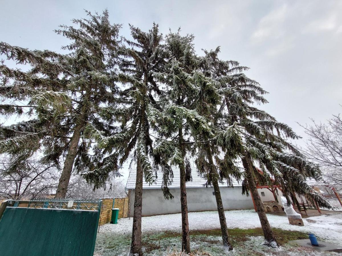 Eva House Ξενοδοχείο Pacir Εξωτερικό φωτογραφία